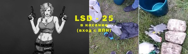 прущие грибы Мегион
