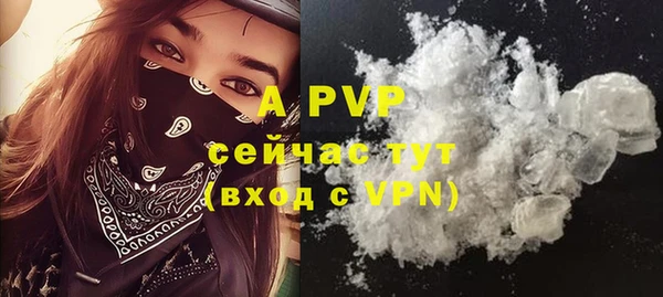 прущие грибы Мегион