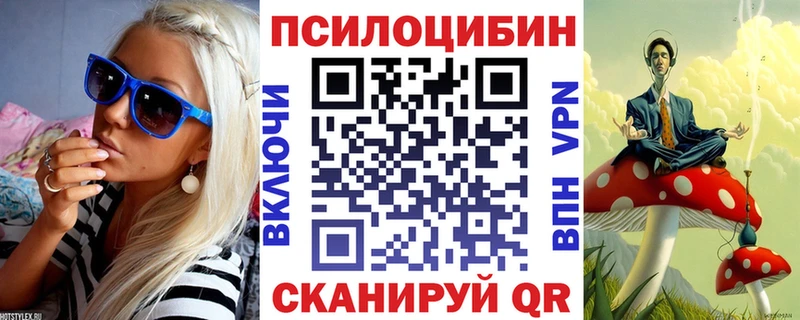 Псилоцибиновые грибы Psilocybe  цены   Набережные Челны 