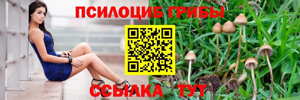 Галлюциногенные грибы ЛСД  Вход с VPN  Галлюциногенные грибы мицелий  Набережные Челны 